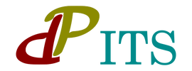 DP - IT Services